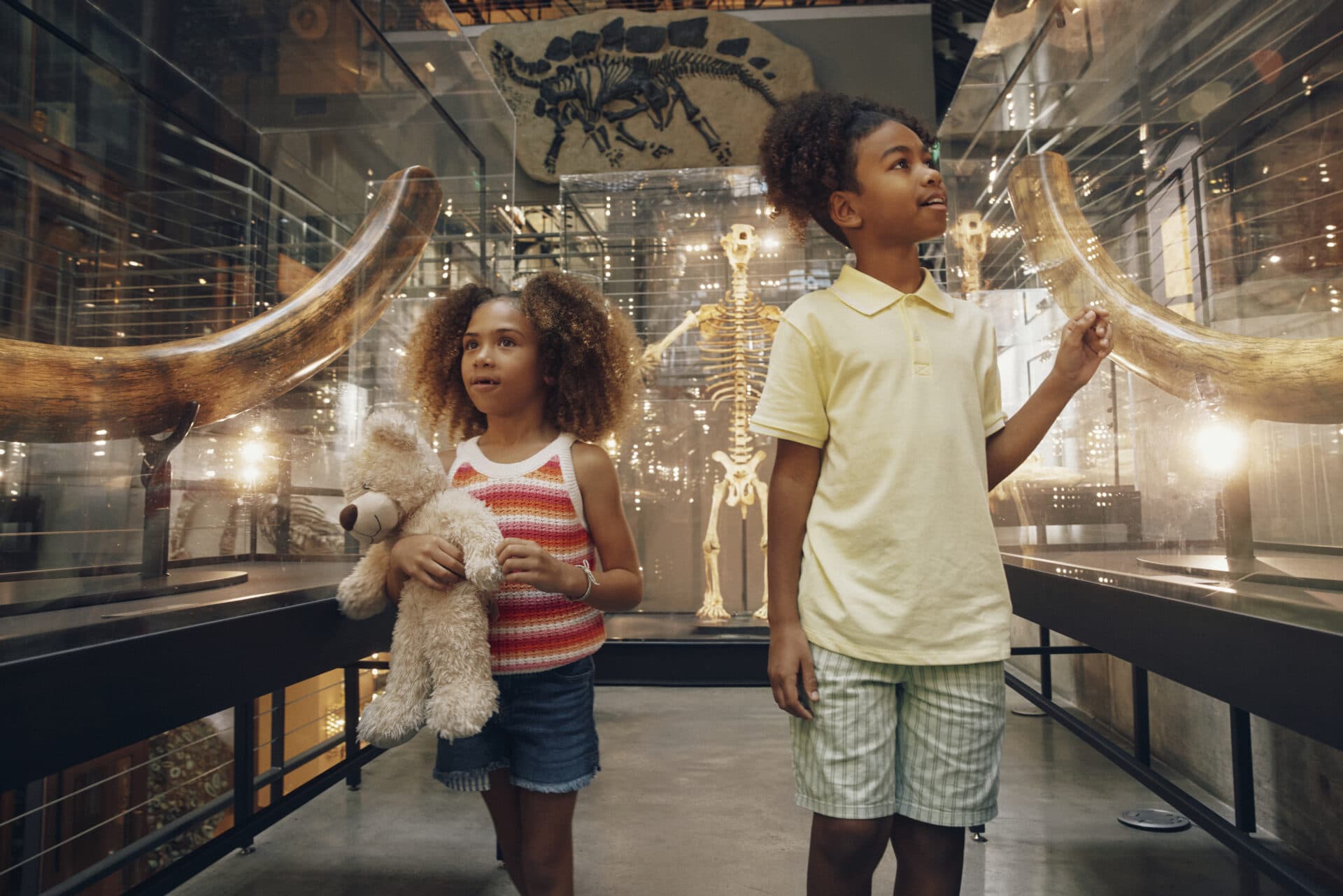 Museum Tours