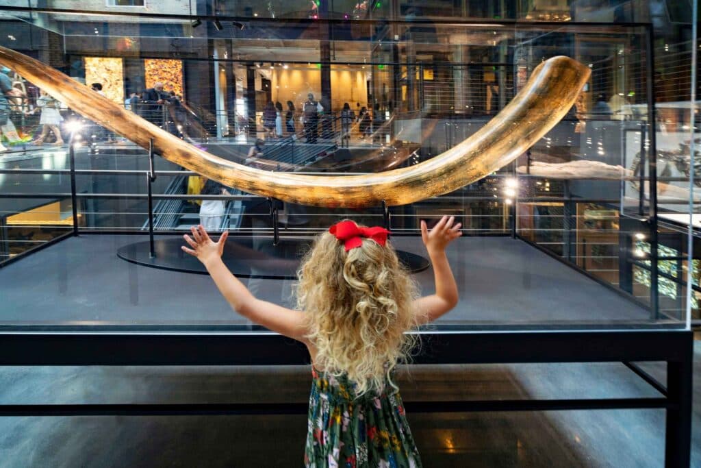 Tusks at the Museum at the Plant Riverside District Savannah