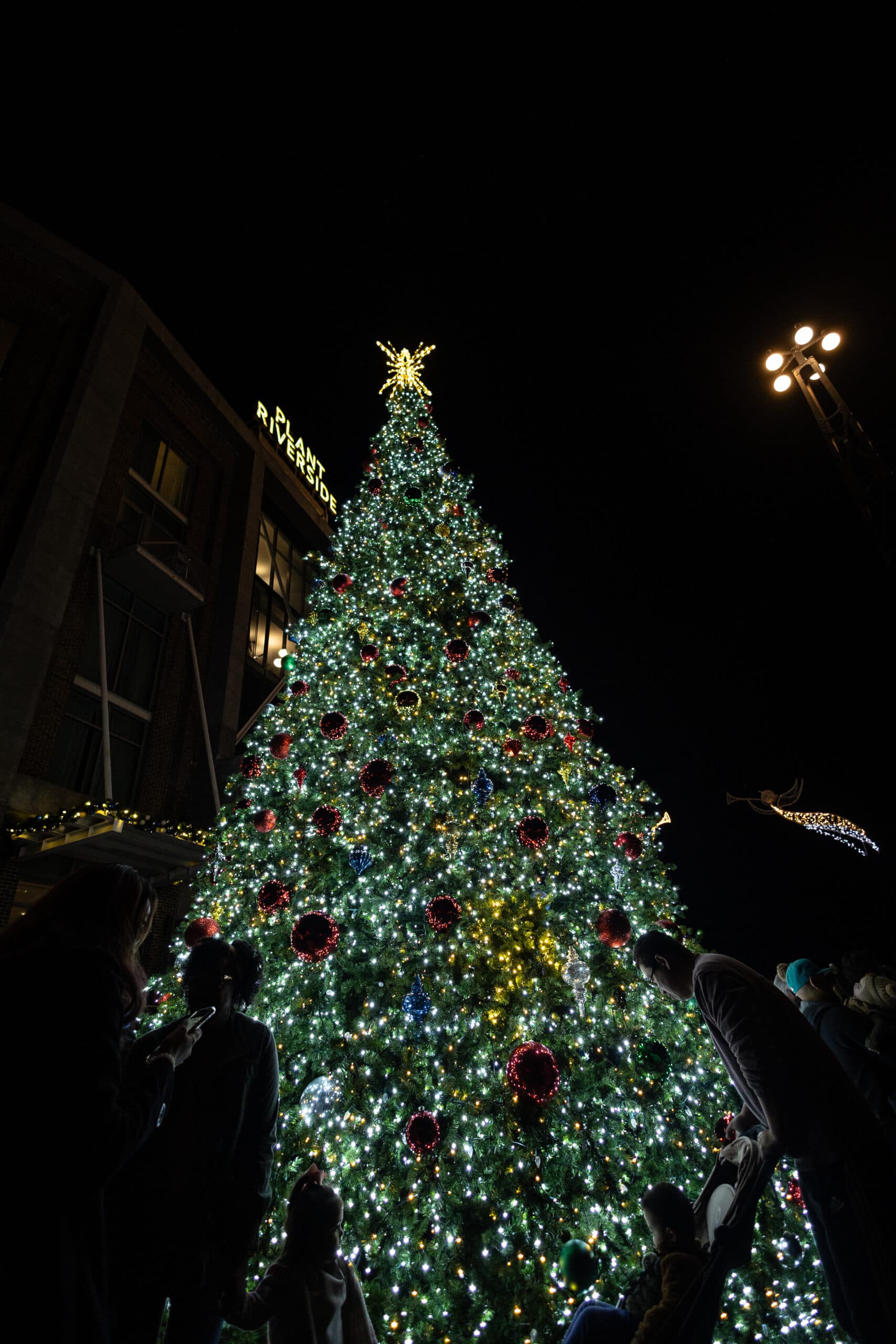 Tree Lighting Ceremony 