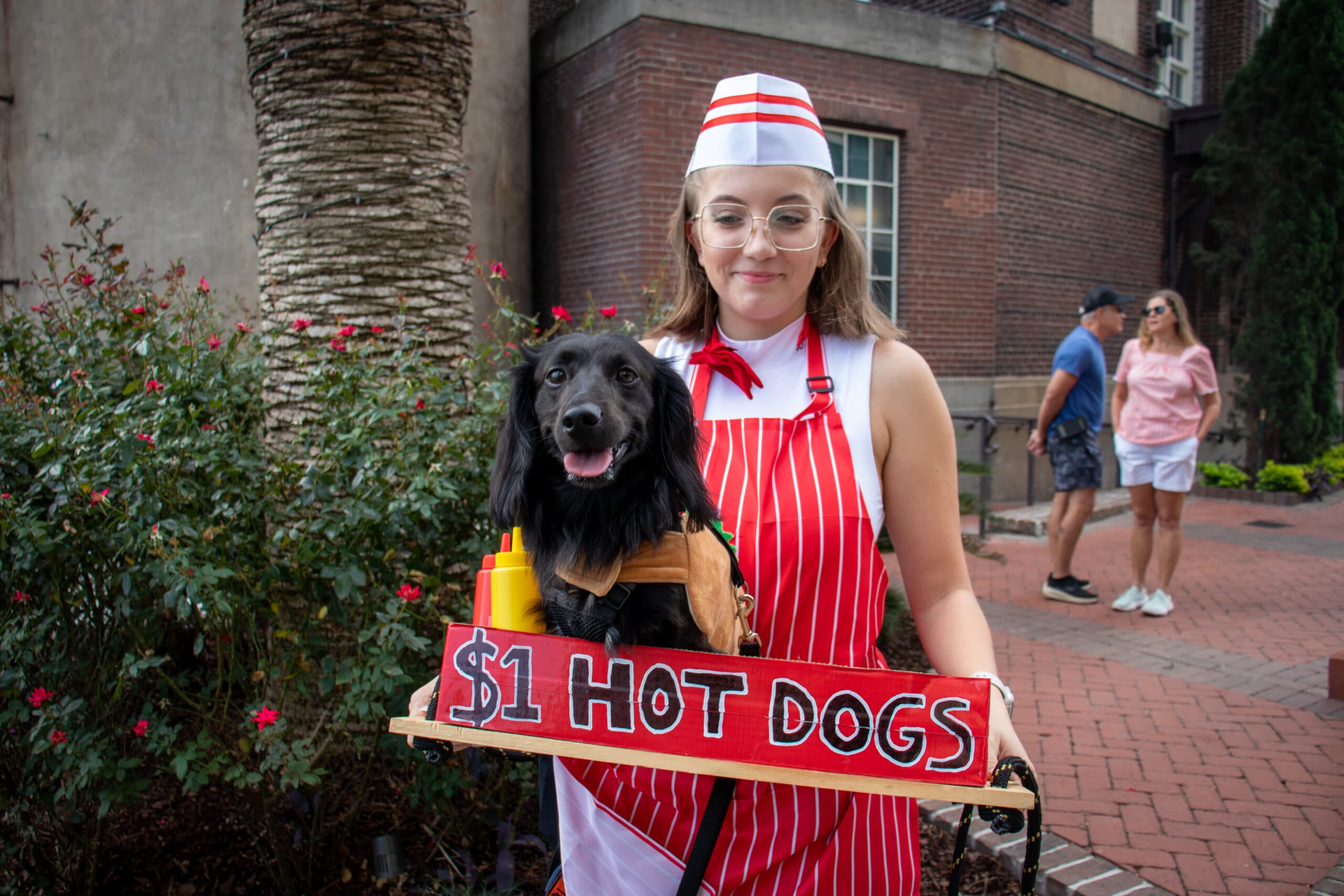 Weiner Dog races Savannah at Plant Riverside District