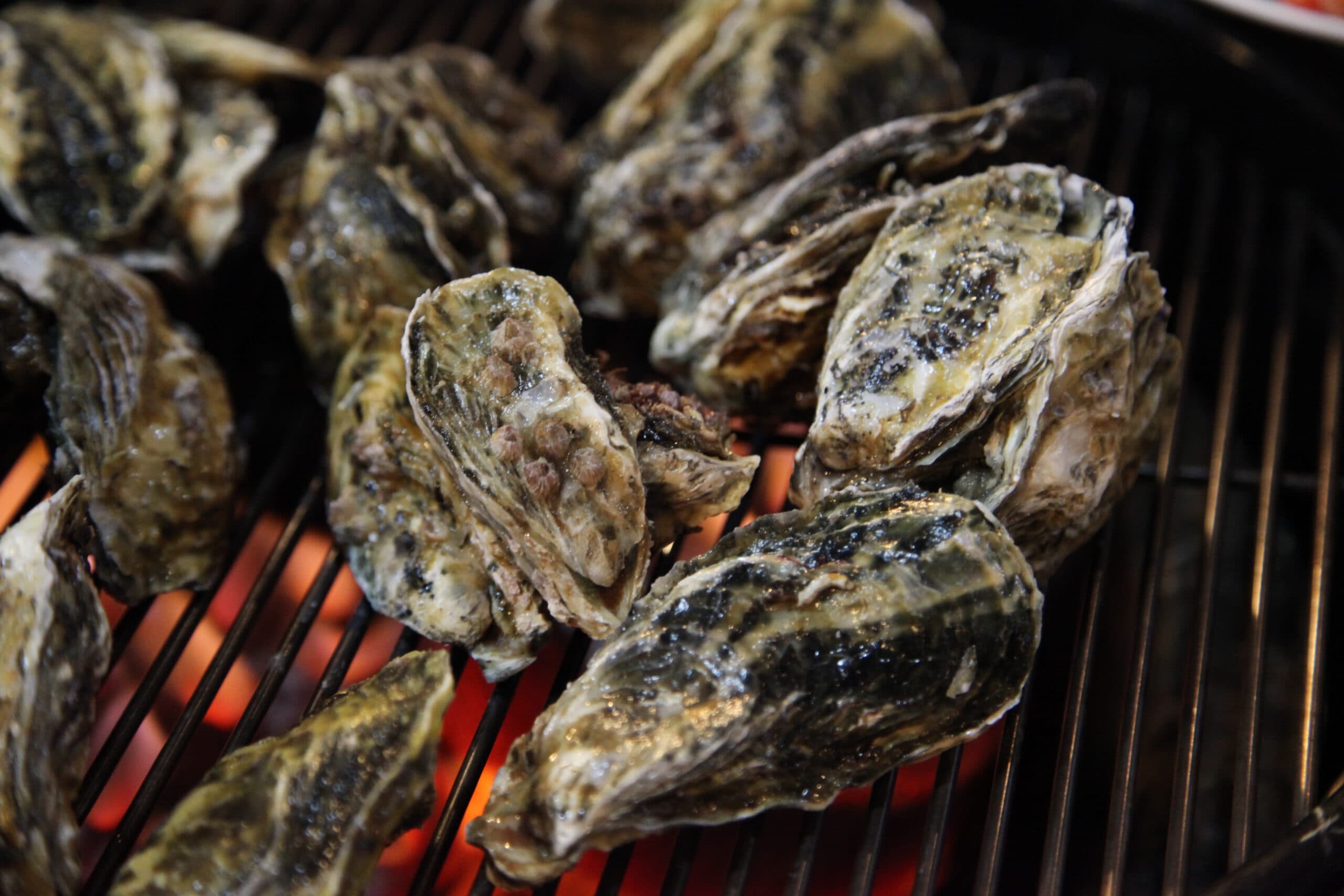 Oyster Roast on The Riverwalk